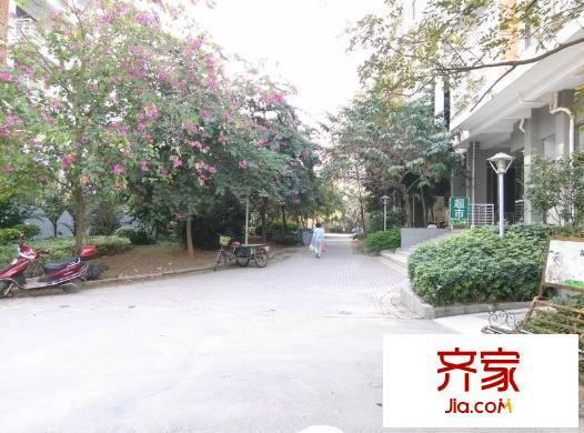 金龍理想1號(hào)外景圖 