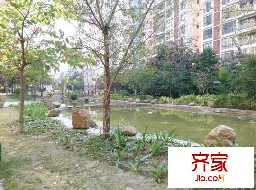 金龍理想1號(hào)外景圖 