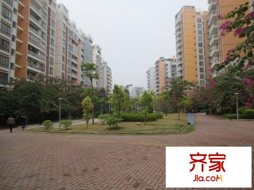 金龍理想1號外景圖 
