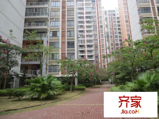 金龍理想1號外景圖 
