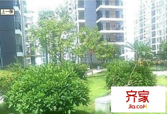 萬正假日風(fēng)景外景圖 