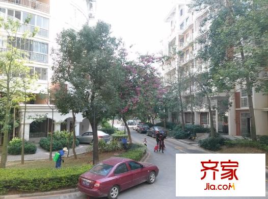 塞納維拉花園外景圖 