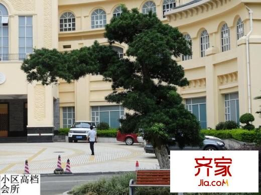 維也納森林外景圖 