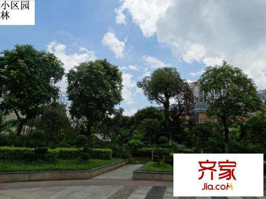 維也納森林外景圖 