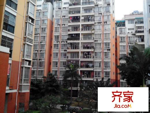 棕櫚灣外景圖 