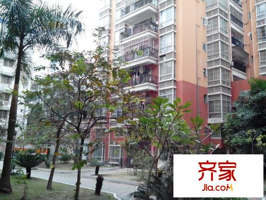 棕櫚灣外景圖 