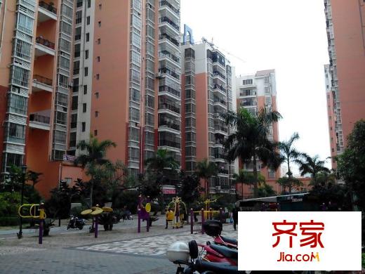 棕櫚灣外景圖 
