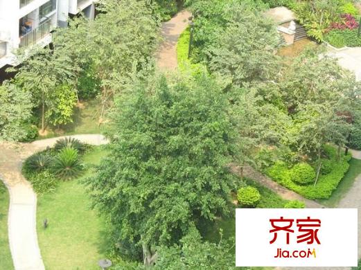盛天尚都外景圖 