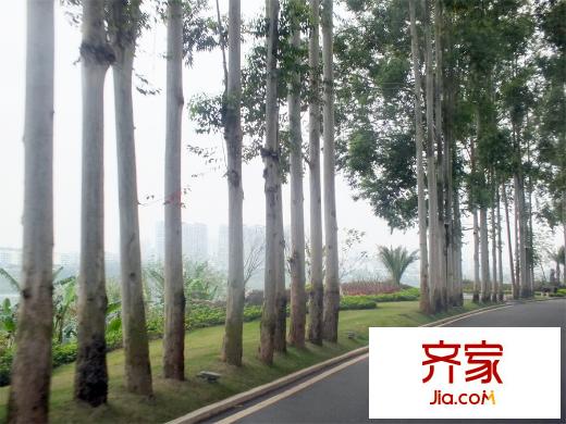 保利君悅灣（2015-3-25）