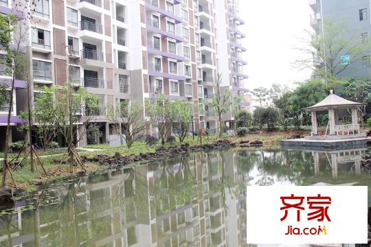碧園南城故事53/54棟實景(2015-3)