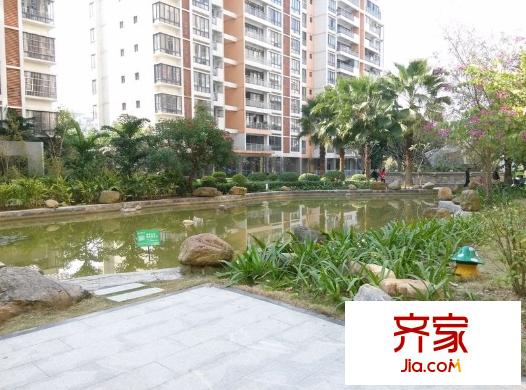 金龍理想1號(hào)外景圖 