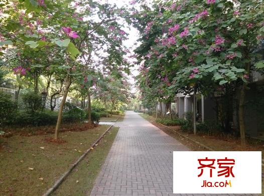 金龍理想1號(hào)外景圖 