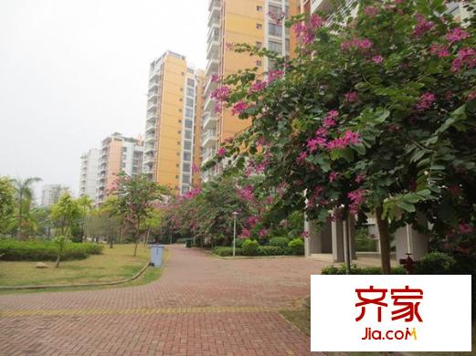 金龍理想1號(hào)外景圖 