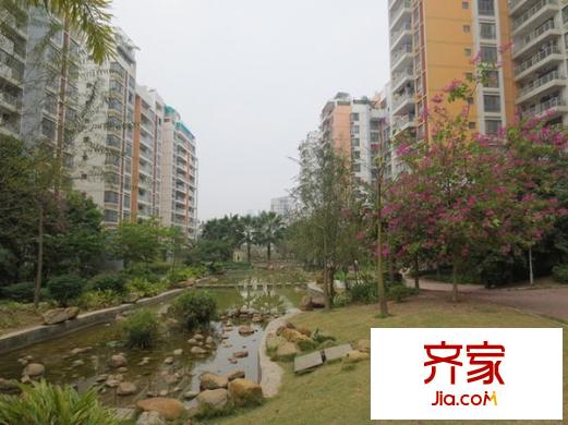 金龍理想1號(hào)外景圖 
