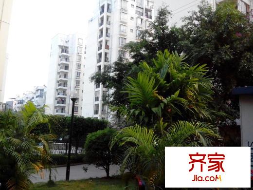 同和華彩美地外景圖 