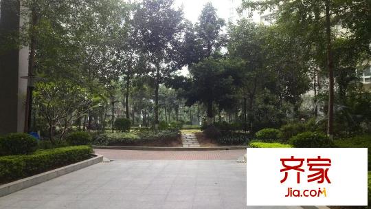城市花園