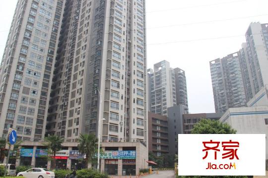 同人學(xué)府大道（2015-3-26）