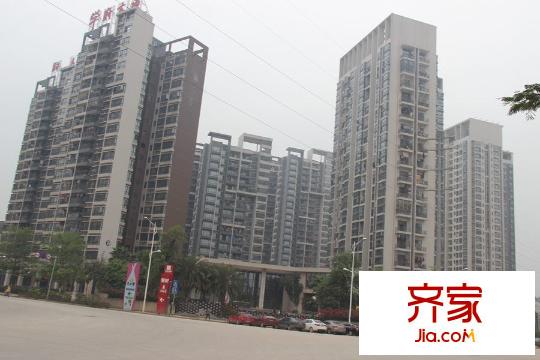 同人學(xué)府大道（2015-3-26）