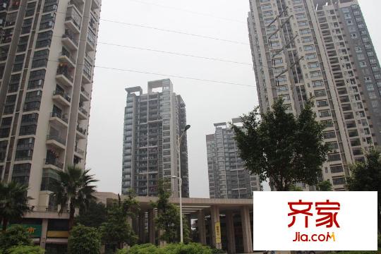 同人學(xué)府大道（2015-3-26）
