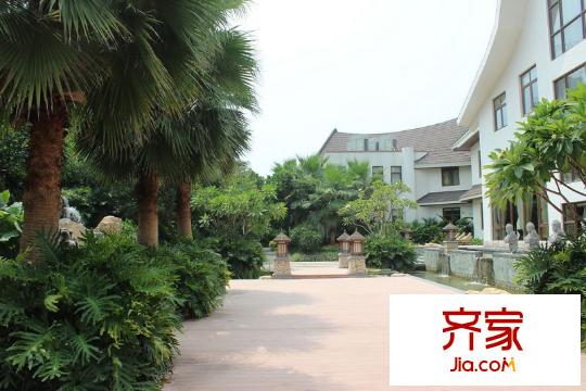 印尼園（2012-10-17）