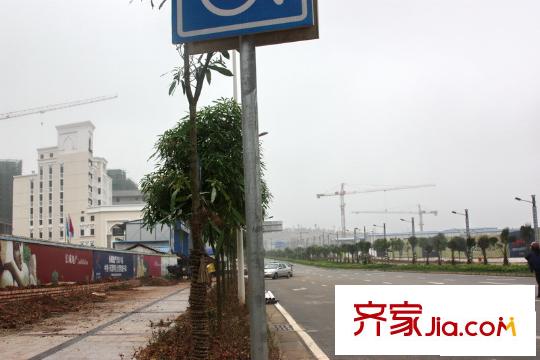 印尼園周邊路況
