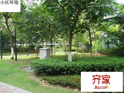 維也納森林外景圖 