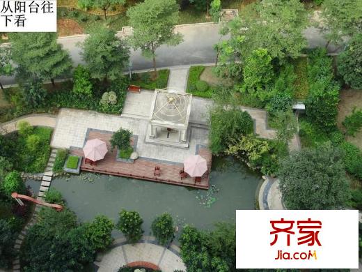 維也納森林外景圖 