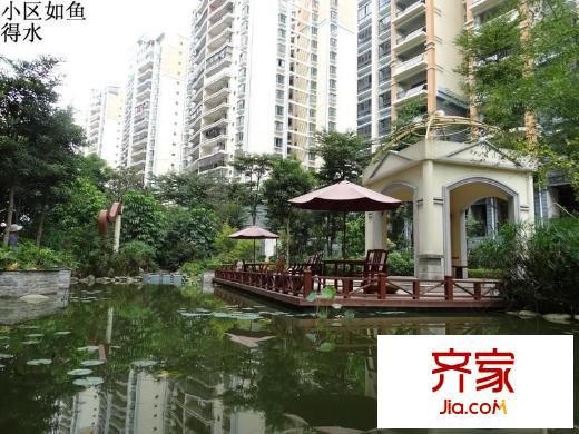維也納森林外景圖 