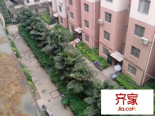 棕櫚灣外景圖 