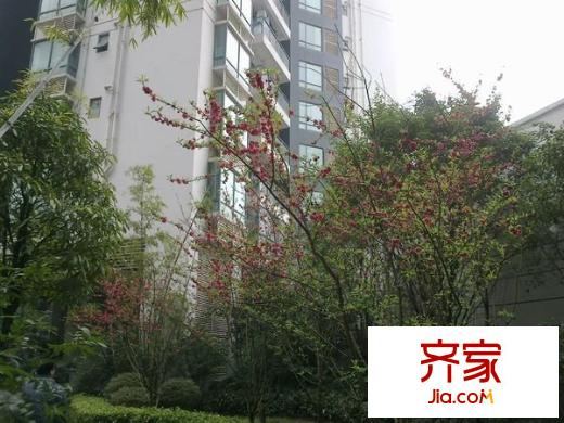 德瑞花園外景圖 