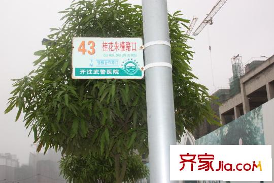 印尼園周邊公交車站