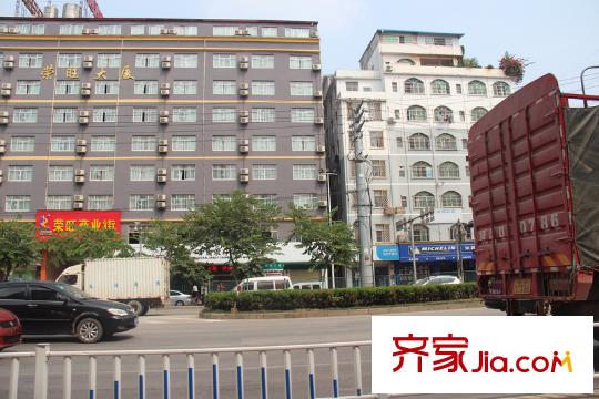 月湖國際銀海大道沿線（攝于2013-1-2）