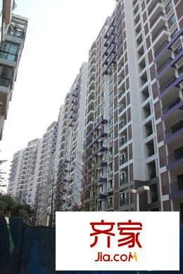 碧園南城故事53/54號(hào)樓實(shí)景(2015-1-8)