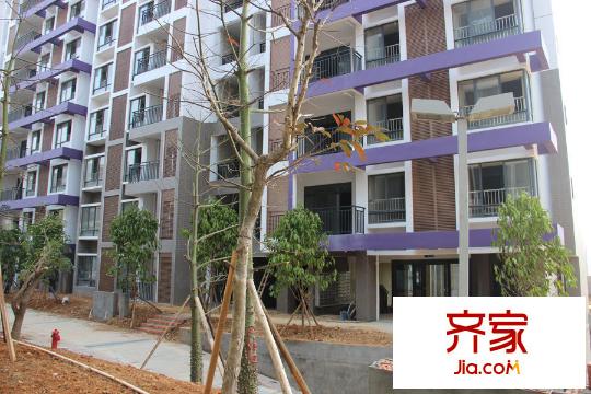 碧園南城故事53/54號(hào)樓實(shí)景(2015-1-8)