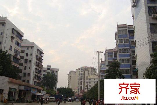 錦秀豪庭（2009-10）