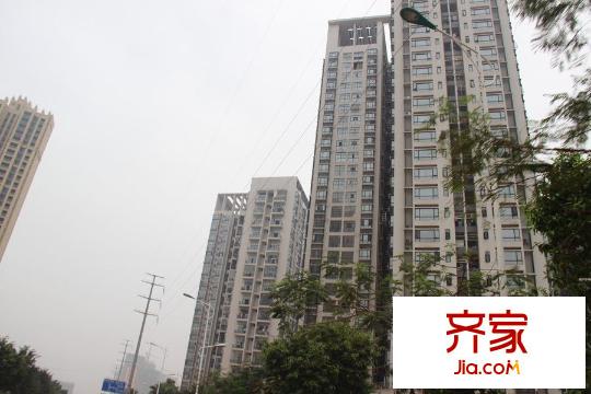 同人學(xué)府大道（2015-3-26）