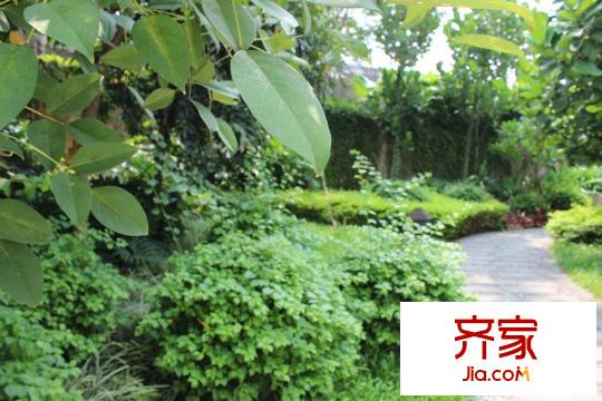 印尼園（2012-10-17）