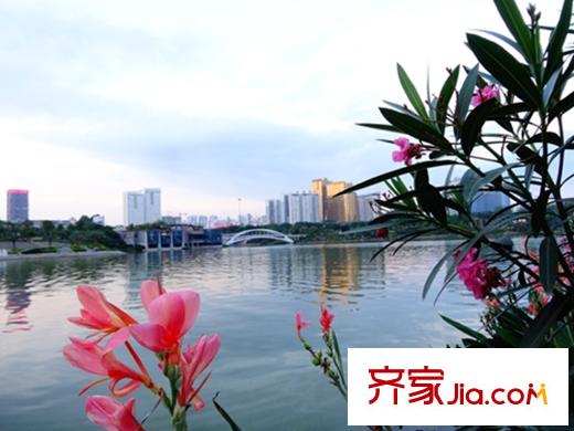 龍光君御華府民歌湖-花與水