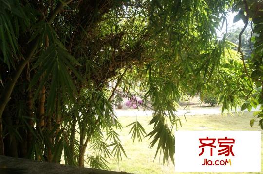 九個半島明秀園（攝于2013年11月30日）