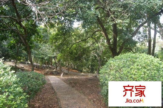 九個半島明秀園（攝于2013年11月30日）