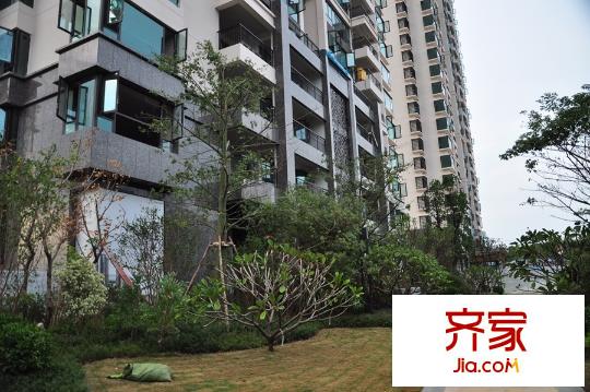華發(fā)國賓壹號園林實景(2015-11-01)
