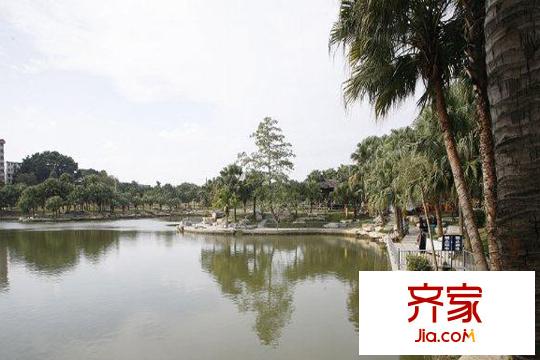 錦秀豪庭（2009-10）