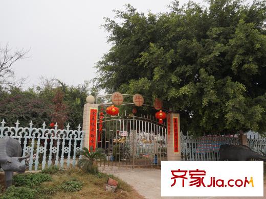 大唐果牛牛園
