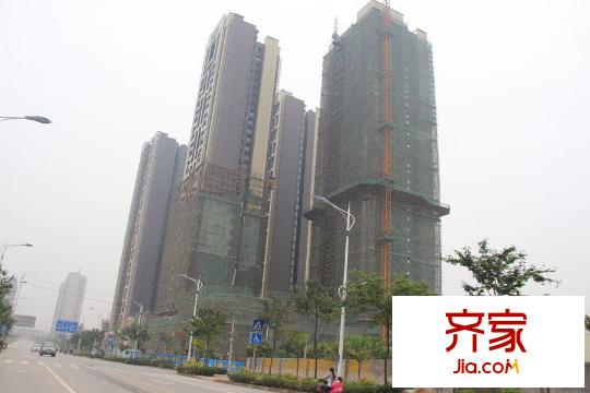 大唐果