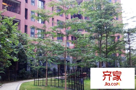 城光俊景社區(qū)實景（2015-05-25）