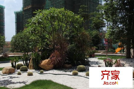 漢軍五象一號園林植被(2015-9-24)
