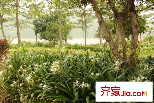 麗水灣別墅配套圖附近的環(huán)境