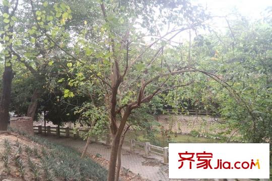 鼎華福邸周邊-公園