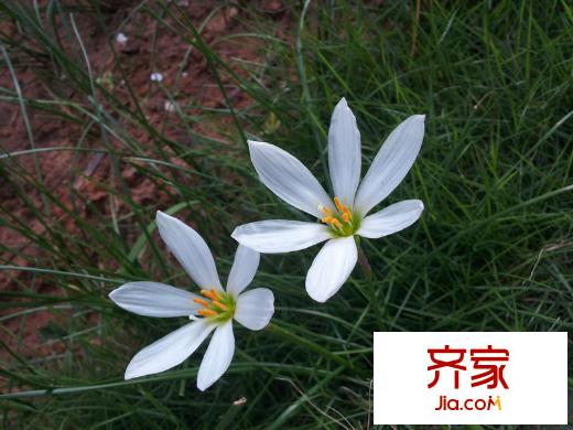 五洲國(guó)際4(2012-07-11)