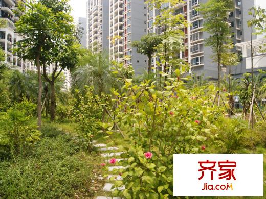 百花苑小區(qū)綠化（2013-07-23）